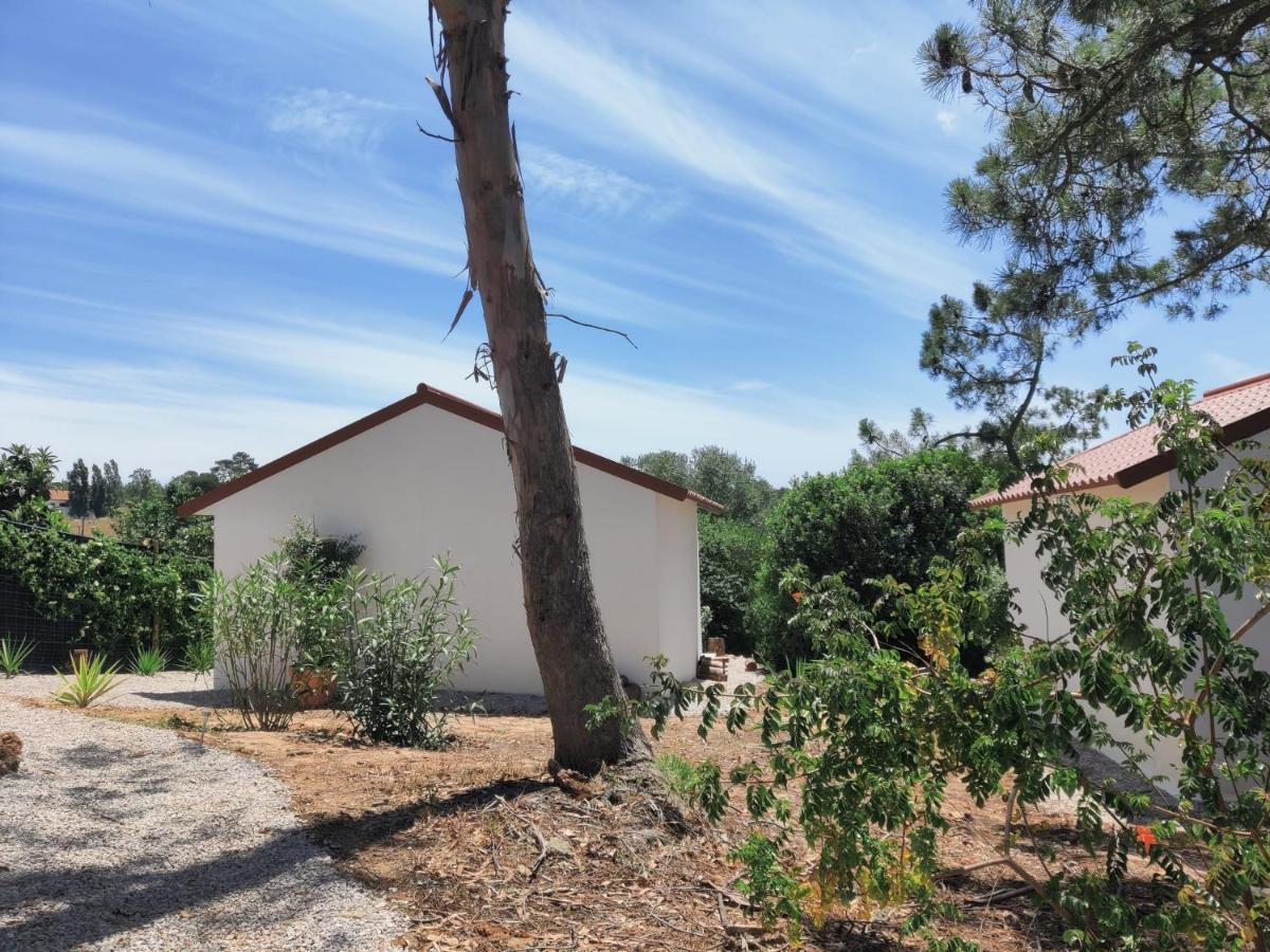 Quinta Do Alento Bed and Breakfast Sesimbra Exterior foto