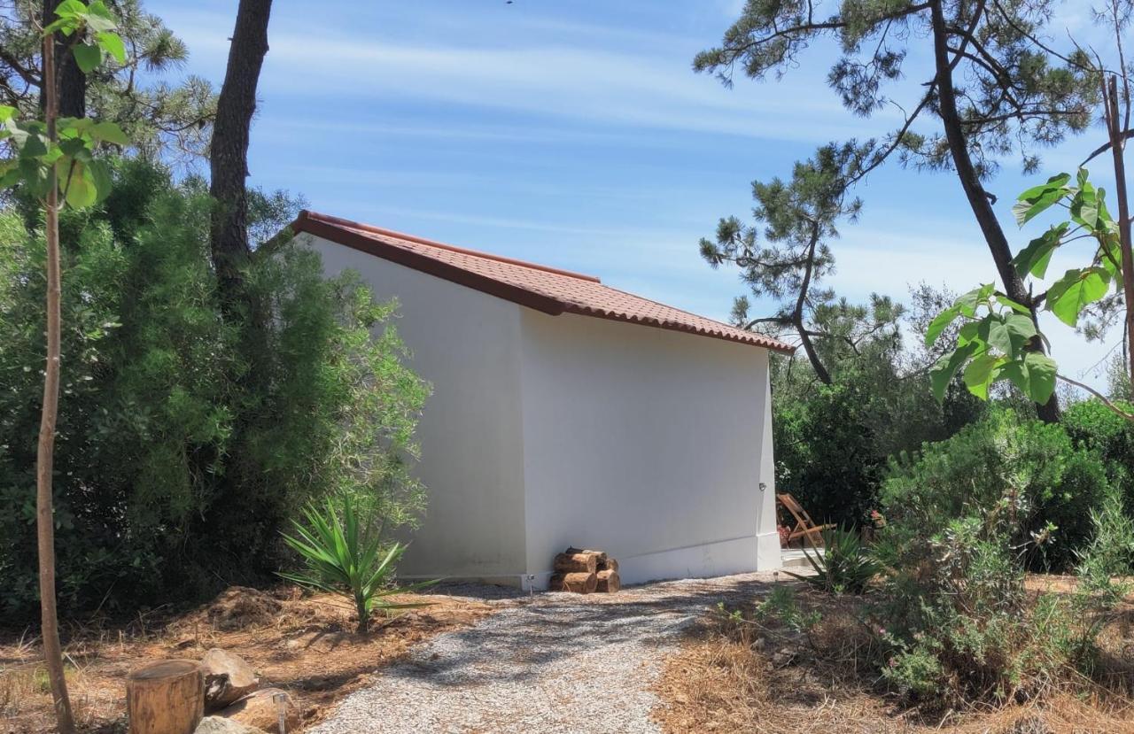 Quinta Do Alento Bed and Breakfast Sesimbra Exterior foto